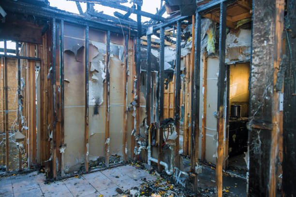 Professional Smoke Damage Removal technician working in Bridgeport, NJ
